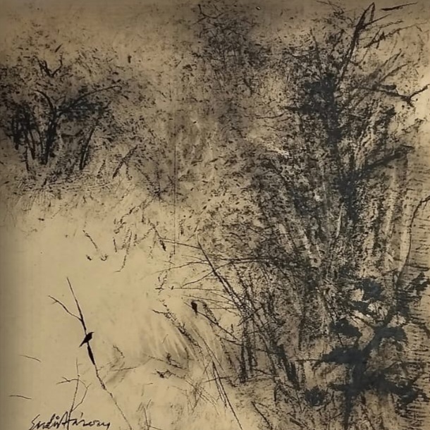 Textured black and white charcoal drawing of a small bird perched on a bare branch amid dense forest undergrowth