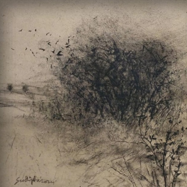 Textured black and white charcoal drawing of a flock of birds taking flight above dense bushes in an open field